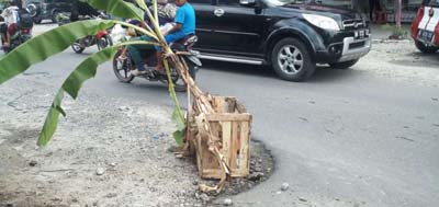 Warga Jalan Pemuda  Pekanbaru Tanam Pohon Pisang di Jalan Berlobang